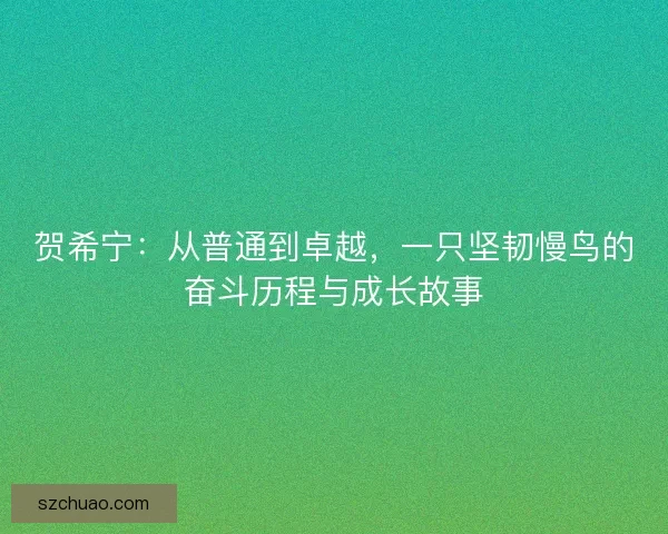 贺希宁：从普通到卓越，一只坚韧慢鸟的奋斗历程与成长故事